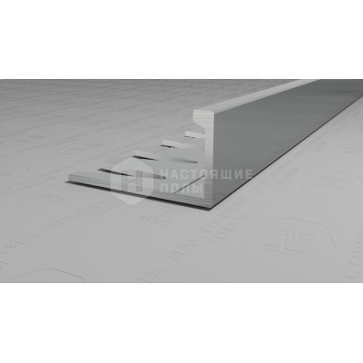 Профиль L-образный алюминиевый гибкий Neexy PV05-02 серебро матовое, 2700*21.5*11 мм