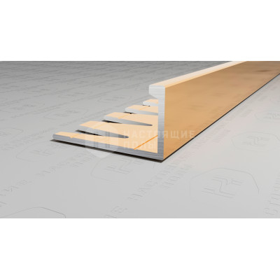 Профиль L-образный алюминиевый гибкий Neexy PV05-05 золото блестящее, 2700*21.5*11 мм