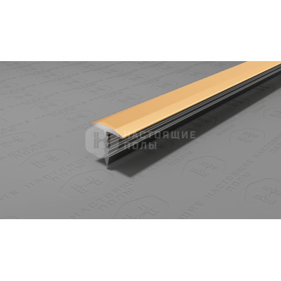 Профиль T-образный алюминиевый Neexy PV101-05 золото блестящее, 2700*9.2*10 мм