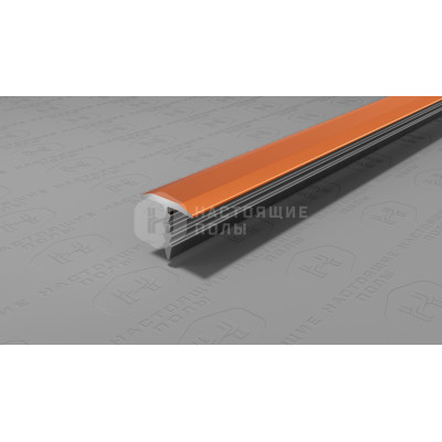 Профиль T-образный алюминиевый Neexy PV101-07 бронза блестящая, 2700*9.2*10 мм