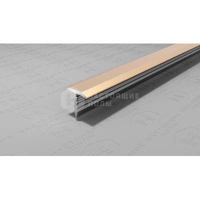 Профиль T-образный алюминиевый Neexy PV101-08 шампань матовая, 2700*9.2*10 мм