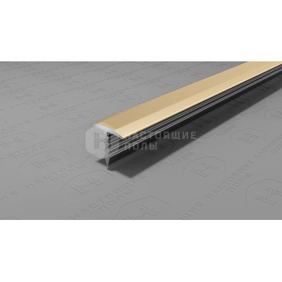 Профиль T-образный алюминиевый Neexy PV101-09 шампань блестящая, 2700*9.2*10 мм