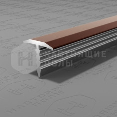 PV101-48 темная бронза блестящая, 2700*9.2*10 мм