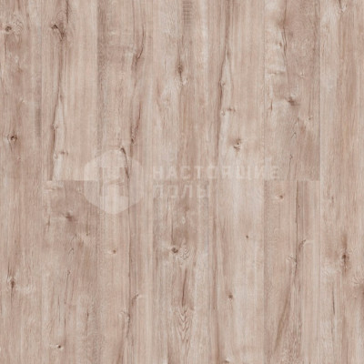 LVT плитка клеевая Royce Sense G705 Дуб Кааба, 1219*188*2.5 мм
