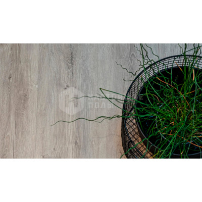 SPC плитка замковая VinilPol 7897-EIR Дуб Неаполь, 1220*228*6 мм