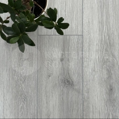 AQ-19 Дуб Писсаро, 1220*183*4.5 мм