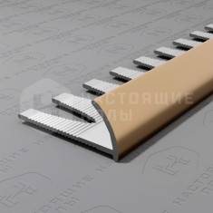 PV19-08 шампань матовая, 2700*10*23 мм