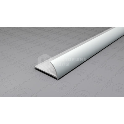 Профиль внешний алюминиевый Neexy PV17-02 серебро матовое, 2700*12*24 мм
