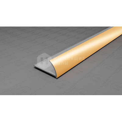 Профиль внешний алюминиевый Neexy PV17-05 золото блестящее, 2700*12*24 мм