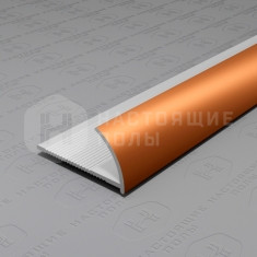 PV17-06 бронза матовая, 2700*12*24 мм