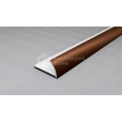 Профиль внешний алюминиевый Neexy PV17-10 коричневый матовый, 2700*12*24 мм