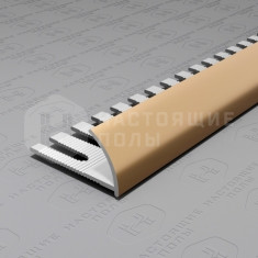 PV20-08 шампань матовая, 2700*12*24 мм