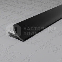 PV30-19 черный блестящий, 2700*11*12 мм