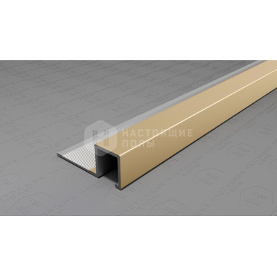 Профиль внешний алюминиевый Neexy PV31-09 шампань блестящая, 2700*29*11 мм