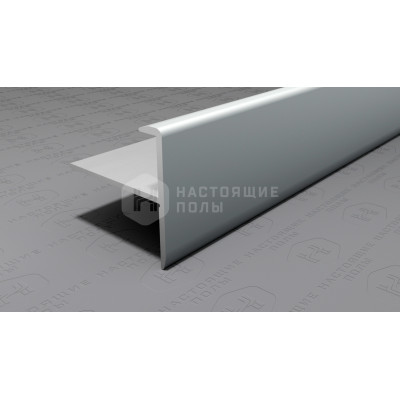 Профиль лестничный F-образный алюминиевый Neexy PV53-02 серебро матовое, 2700*25*24.2 мм