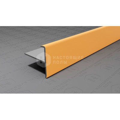 Профиль лестничный F-образный алюминиевый Neexy PV53-04 золото матовое, 2700*25*24.2 мм