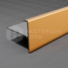 PV53-05 золото блестящее, 2700*25*24.2 мм