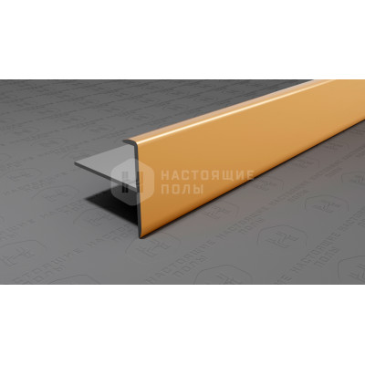 Профиль лестничный F-образный алюминиевый Neexy PV53-05 золото блестящее, 2700*25*24.2 мм