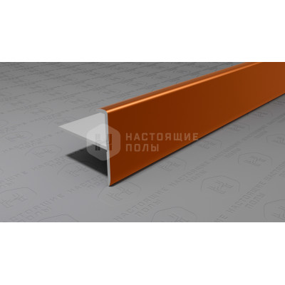 Профиль лестничный F-образный алюминиевый Neexy PV53-06 бронза матовая, 2700*25*24.2 мм