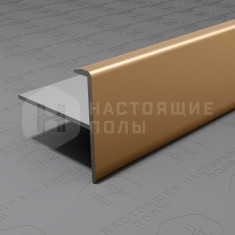 PV53-08 шампань матовая, 2700*25*24.2 мм