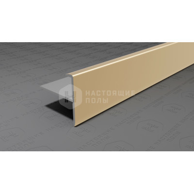 Профиль лестничный F-образный алюминиевый Neexy PV53-09 шампань блестящая, 2700*25*24.2 мм