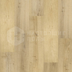 Stella, 1200*182*5.5 мм