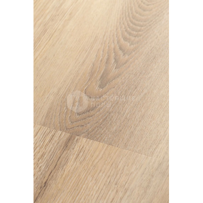 LVT плитка клеевая FirstFloor Dry Back 2F001 Белый дикий лес, 1219*184*2 мм