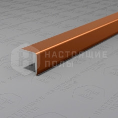 PV60-06 бронза матовая, 2700*10*10 мм