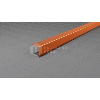 Угол защитный алюминиевый Neexy PV60-07 бронза блестящая, 2700*10*10 мм