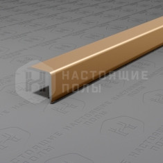 PV60-08 шампань матовая, 2700*10*10 мм