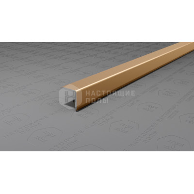 Угол защитный алюминиевый Neexy PV60-08 шампань матовая, 2700*10*10 мм