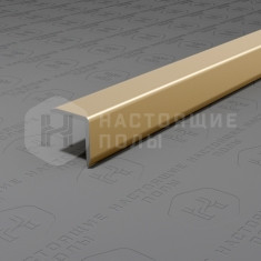 PV60-09 шампань блестящая, 2700*10*10 мм