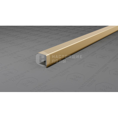 Угол защитный алюминиевый Neexy PV60-09 шампань блестящая, 2700*10*10 мм