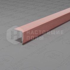 PV60-50 медь блестящая, 2700*10*10 мм