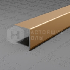 PV61-08 шампань матовая, 2700*15*15 мм