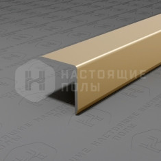 PV61-09 шампань блестящая, 2700*15*15 мм