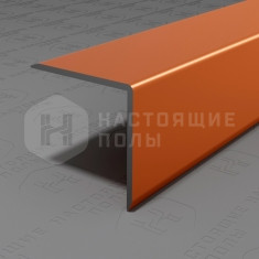 PV63-07 бронза блестящая, 2700*20*20 мм