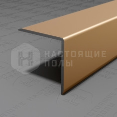 PV63-08 шампань матовая, 2700*20*20 мм