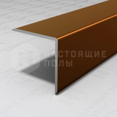 PV63-48 темная бронза блестящая, 2700*20*20 мм