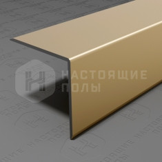 PV64-09 шампань блестящая, 2700*25*25 мм