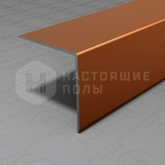 PV65-06 бронза матовая, 2700*30*30 мм