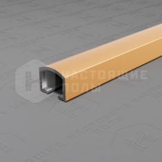 PV104-05 золото блестящее, 2700*10*8.2 мм