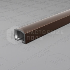 PV104-11 коричневый блестящий, 2700*10*8.2 мм