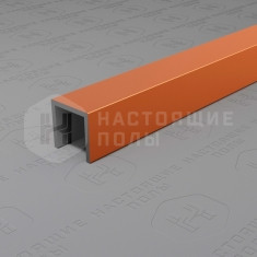 PV83-07 бронза блестящая, 2700*10*10 мм