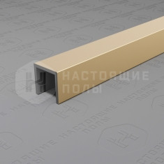 PV83-09 шампань блестящая, 2700*10*10 мм