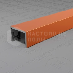 PV84-07 бронза блестящая, 2700*15*10 мм