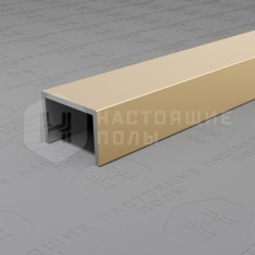 PV84-09 шампань блестящая, 2700*15*10 мм