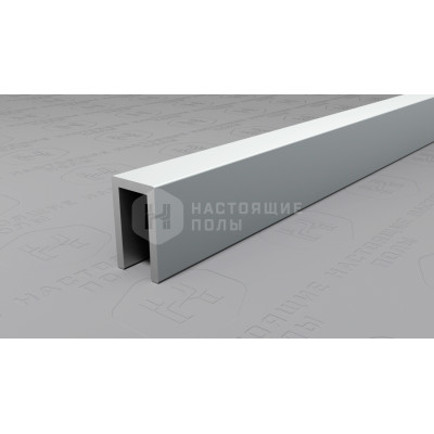Профиль П-образный алюминиевый Neexy PV85-02 серебро матовое, 2700*6*10 мм