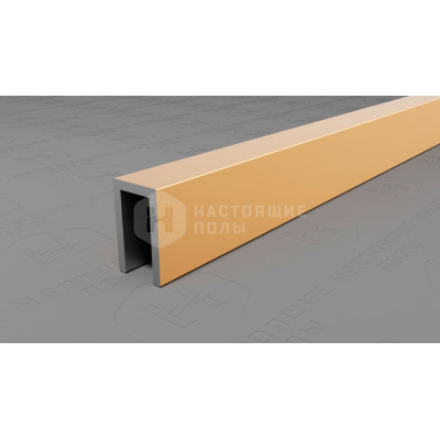 Профиль П-образный алюминиевый Neexy PV85-05 золото блестящее, 2700*6*10 мм