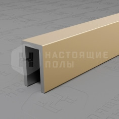 PV85-09 шампань блестящая, 2700*6*10 мм